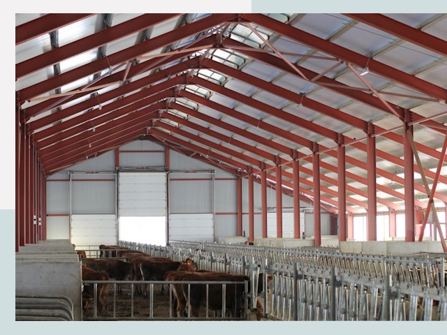 Строительство коровников в Ельце