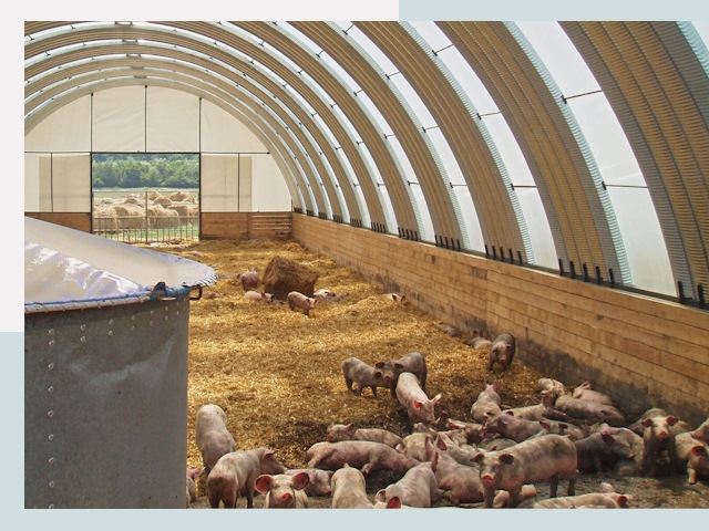 Строительство свинарников в Ельце