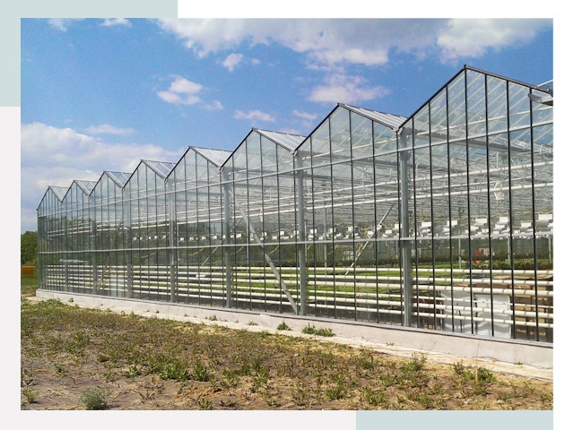 Строительство теплиц в Елец от 616 руб. за м²