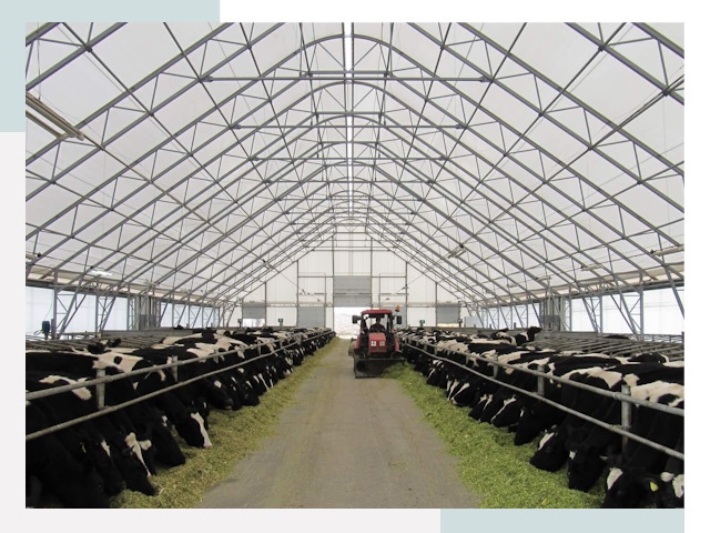 Тентовые коровники в Ельце от 616 руб. - Надежно и доступно