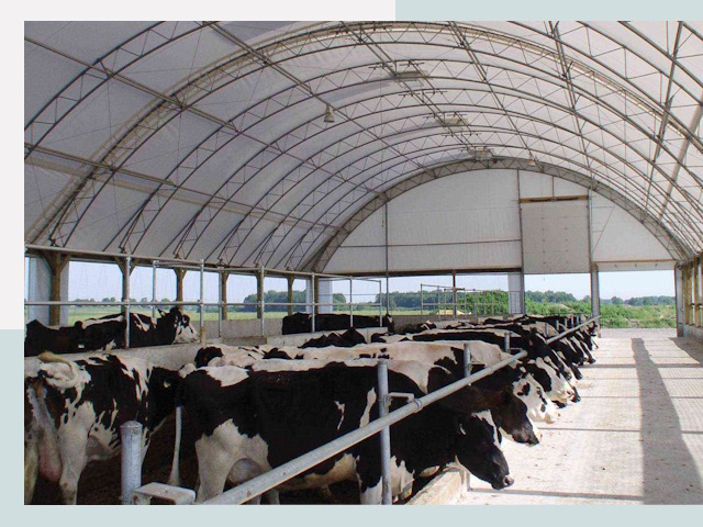 Тентовые коровники в Ельце