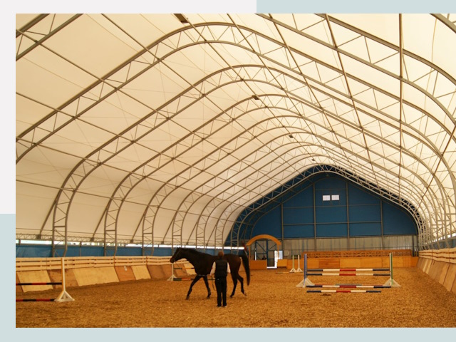 Строительство конных манежей в Ельце